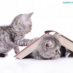 Эксклюзивные стихотворения для друзей и родных